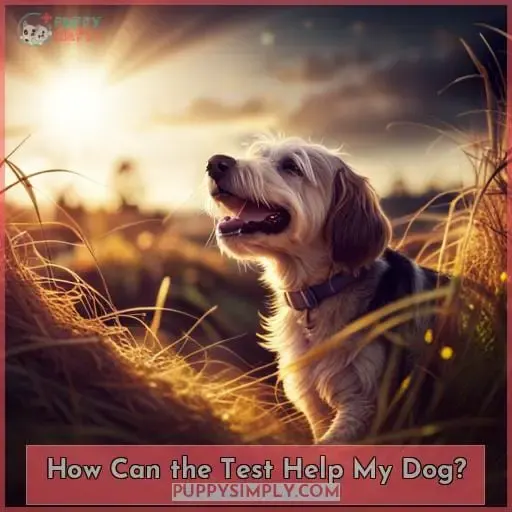 How Can the Test Help My Dog