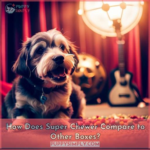 How Does Super Chewer Compare to Other Boxes