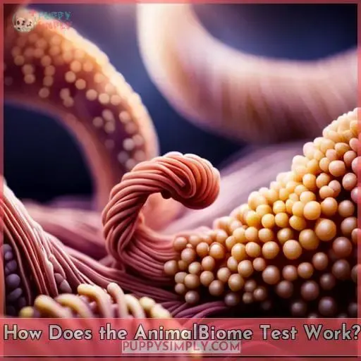 How Does the AnimalBiome Test Work