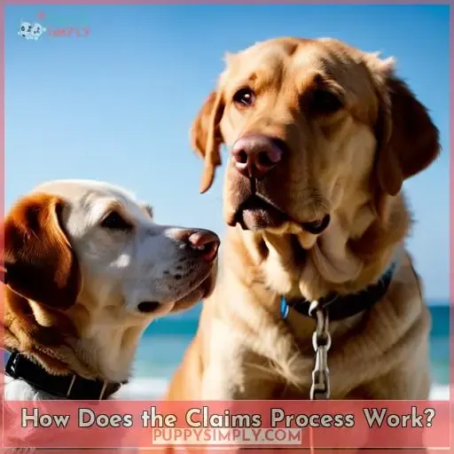 How Does the Claims Process Work