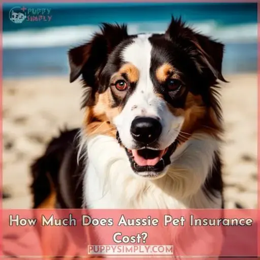 How Much Does Aussie Pet Insurance Cost