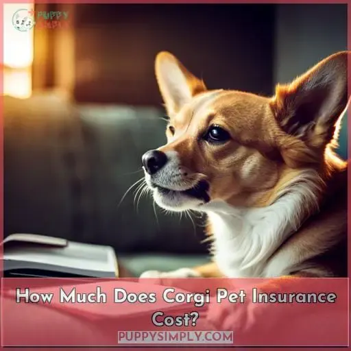 How Much Does Corgi Pet Insurance Cost