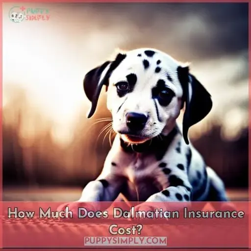 How Much Does Dalmatian Insurance Cost