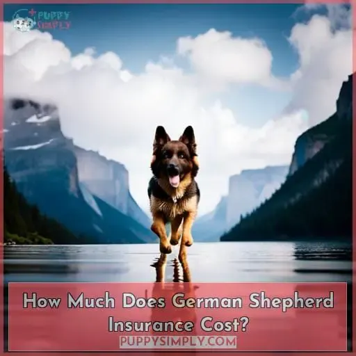 How Much Does German Shepherd Insurance Cost