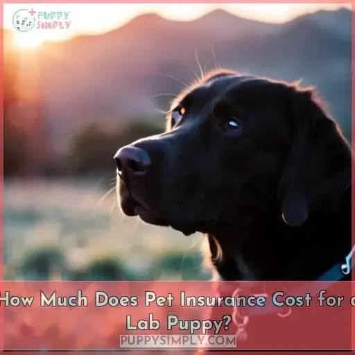 How Much Does Pet Insurance Cost for a Lab Puppy