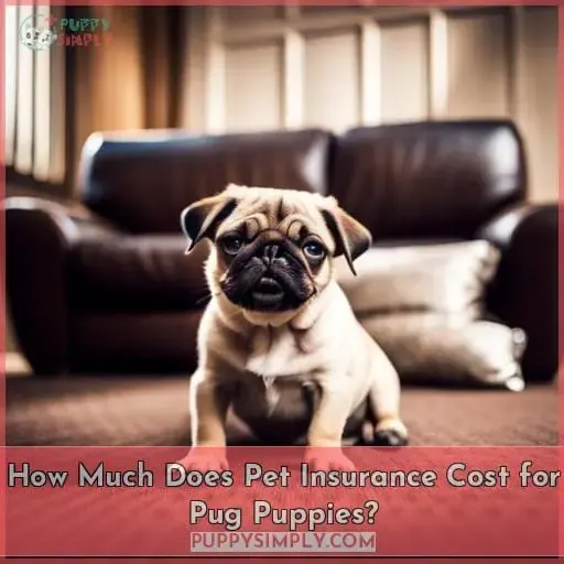How Much Does Pet Insurance Cost for Pug Puppies