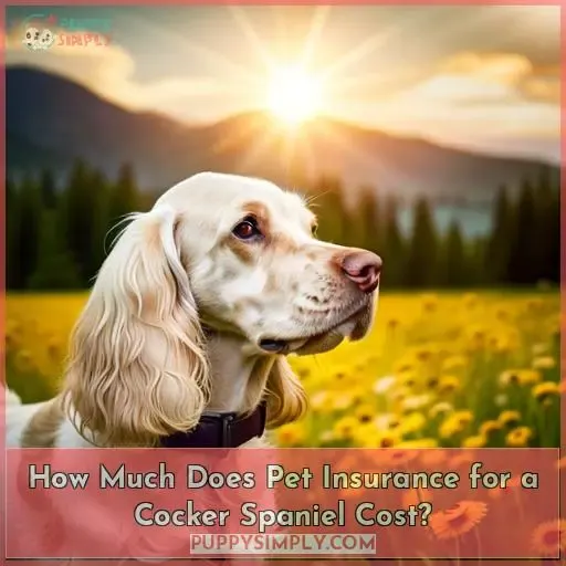 How Much Does Pet Insurance for a Cocker Spaniel Cost
