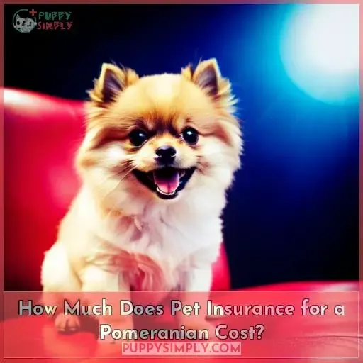 How Much Does Pet Insurance for a Pomeranian Cost