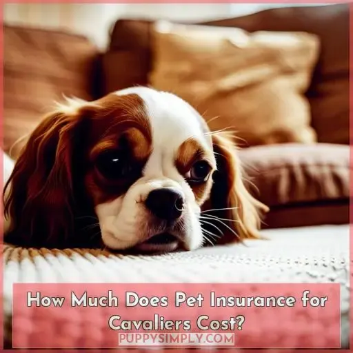 How Much Does Pet Insurance for Cavaliers Cost