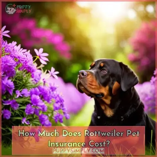 How Much Does Rottweiler Pet Insurance Cost