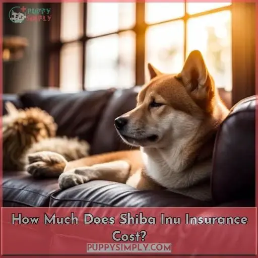 How Much Does Shiba Inu Insurance Cost