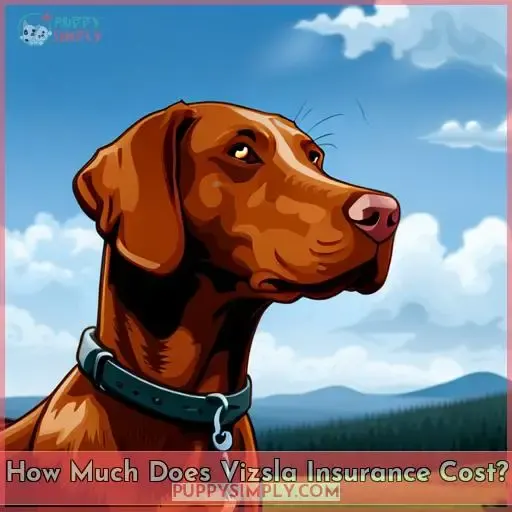 How Much Does Vizsla Insurance Cost