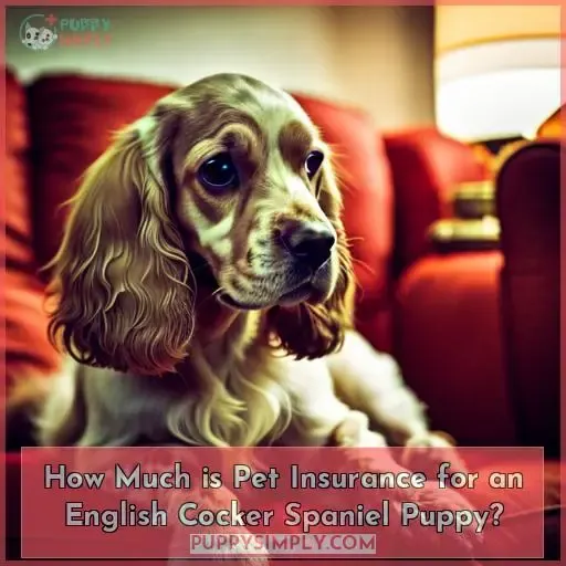 How Much is Pet Insurance for an English Cocker Spaniel Puppy