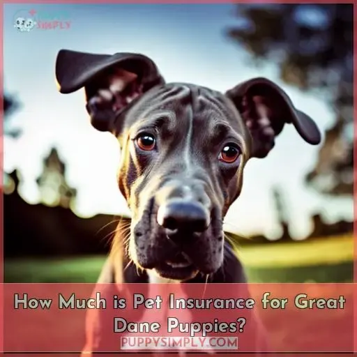 How Much is Pet Insurance for Great Dane Puppies