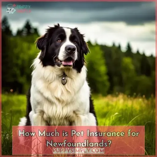 How Much is Pet Insurance for Newfoundlands