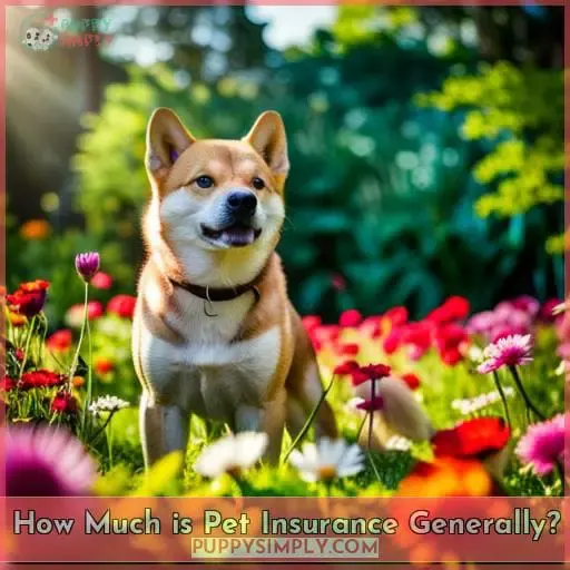 How Much is Pet Insurance Generally