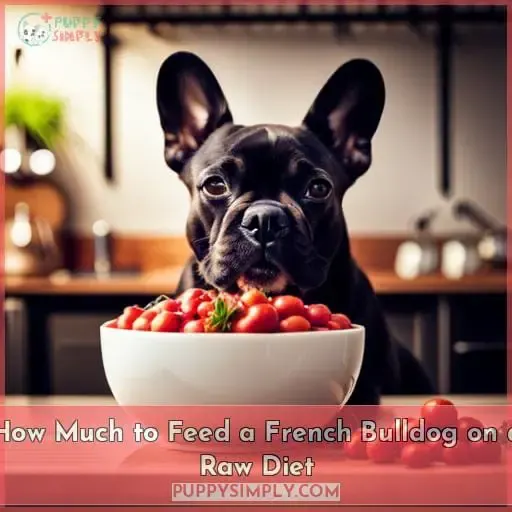 How Much to Feed a French Bulldog on a Raw Diet