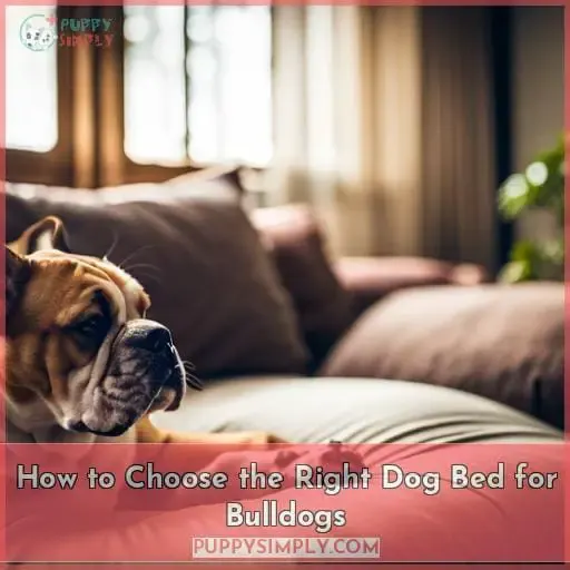 How to Choose the Right Dog Bed for Bulldogs