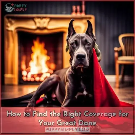 How to Find the Right Coverage for Your Great Dane