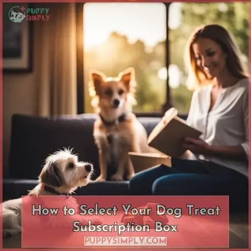 How to Select Your Dog Treat Subscription Box