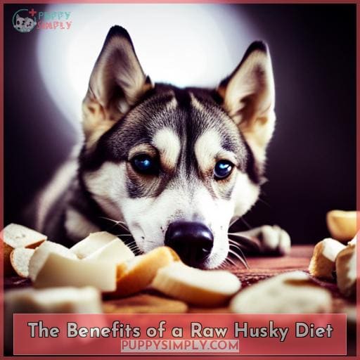 husky raw dog food diet