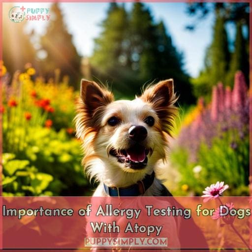 Importance of Allergy Testing for Dogs With Atopy