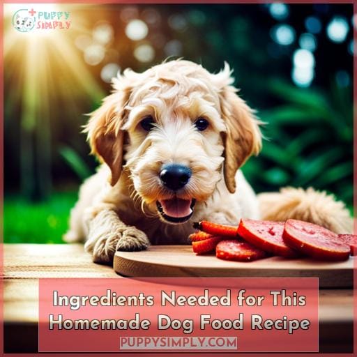 Ingredients Needed for This Homemade Dog Food Recipe