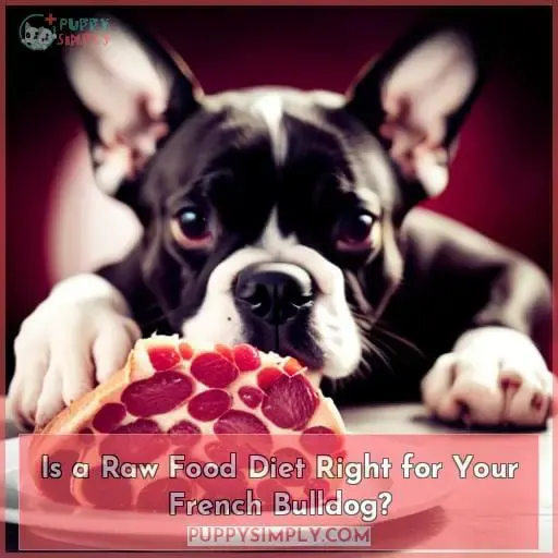 Is a Raw Food Diet Right for Your French Bulldog