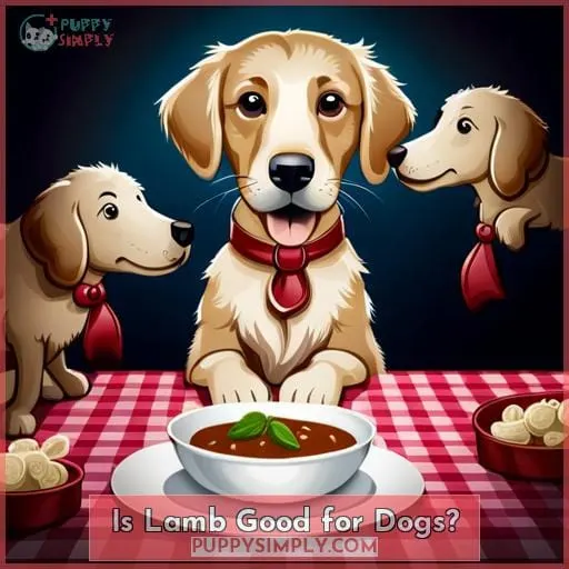 Is Lamb Good for Dogs