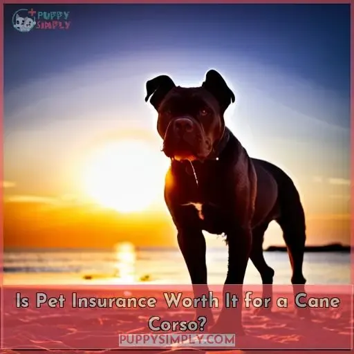 Is Pet Insurance Worth It for a Cane Corso