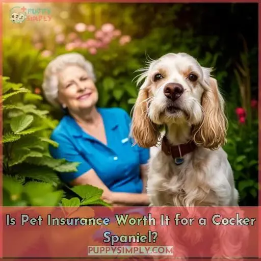 Is Pet Insurance Worth It for a Cocker Spaniel