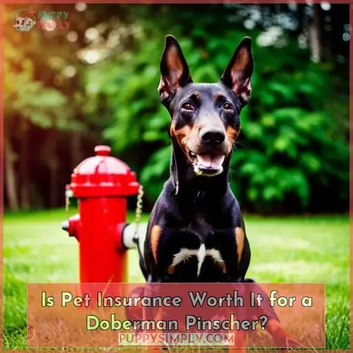 Is Pet Insurance Worth It for a Doberman Pinscher