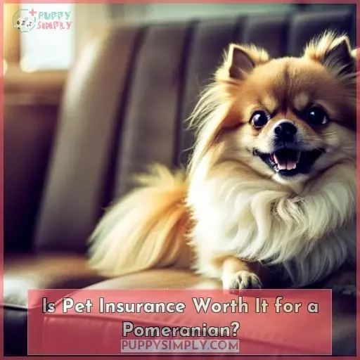 Is Pet Insurance Worth It for a Pomeranian