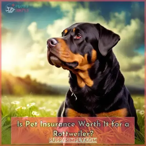 Is Pet Insurance Worth It for a Rottweiler
