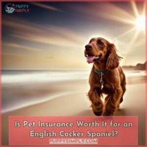 English Cocker Spaniel Pet Insurance: Costs & Benefits