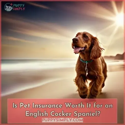 Is Pet Insurance Worth It for an English Cocker Spaniel
