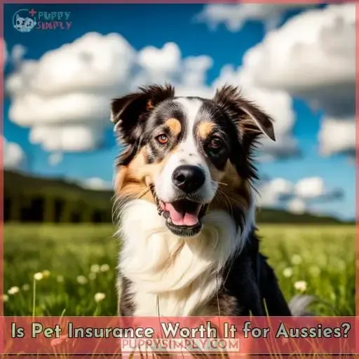 Is Pet Insurance Worth It for Aussies