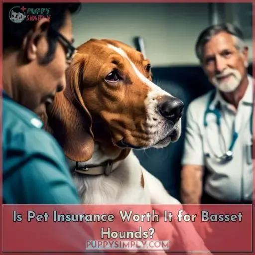 Is Pet Insurance Worth It for Basset Hounds