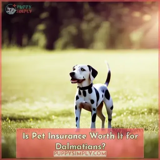 Is Pet Insurance Worth It for Dalmatians