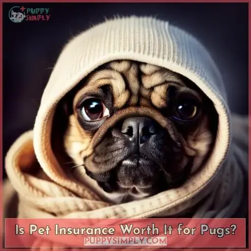 Is Pet Insurance Worth It for Pugs