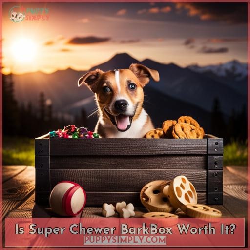 Is Super Chewer BarkBox Worth It