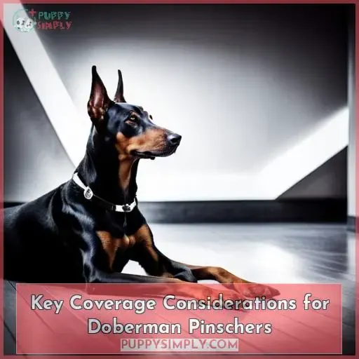 Key Coverage Considerations for Doberman Pinschers