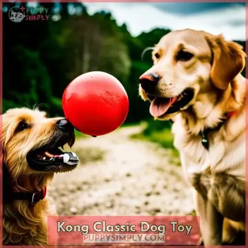 Kong Classic Dog Toy