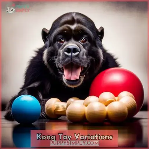 Kong Toy Variations