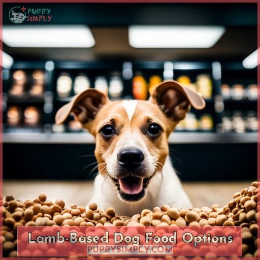 Lamb-Based Dog Food Options