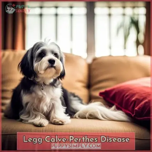 Legg-Calve-Perthes Disease