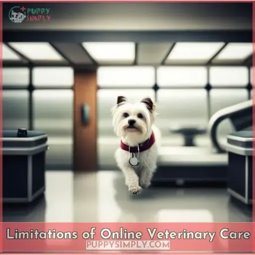 Limitations of Online Veterinary Care