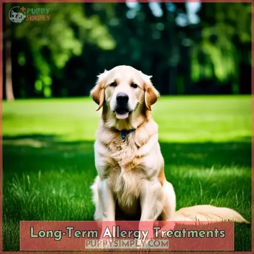 Long-Term Allergy Treatments