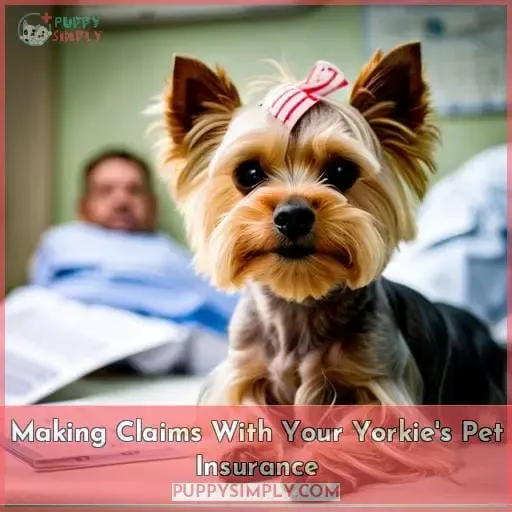 Making Claims With Your Yorkie