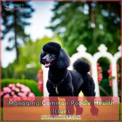 Managing Common Poodle Health Issues